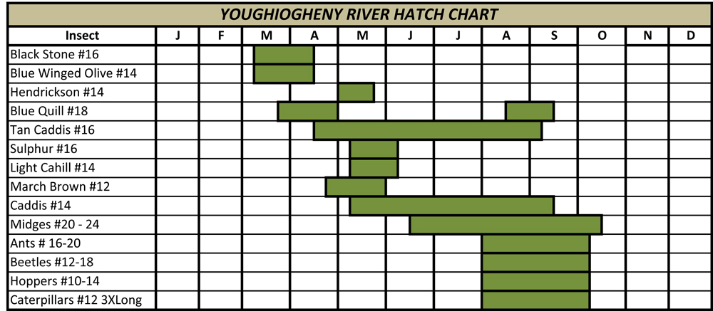 Owyhee River Hatch Chart - TRR Outfitters
